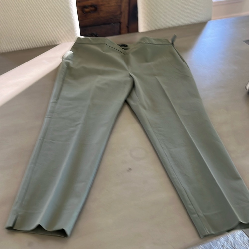 Talbots sage green straight fit side zip pants